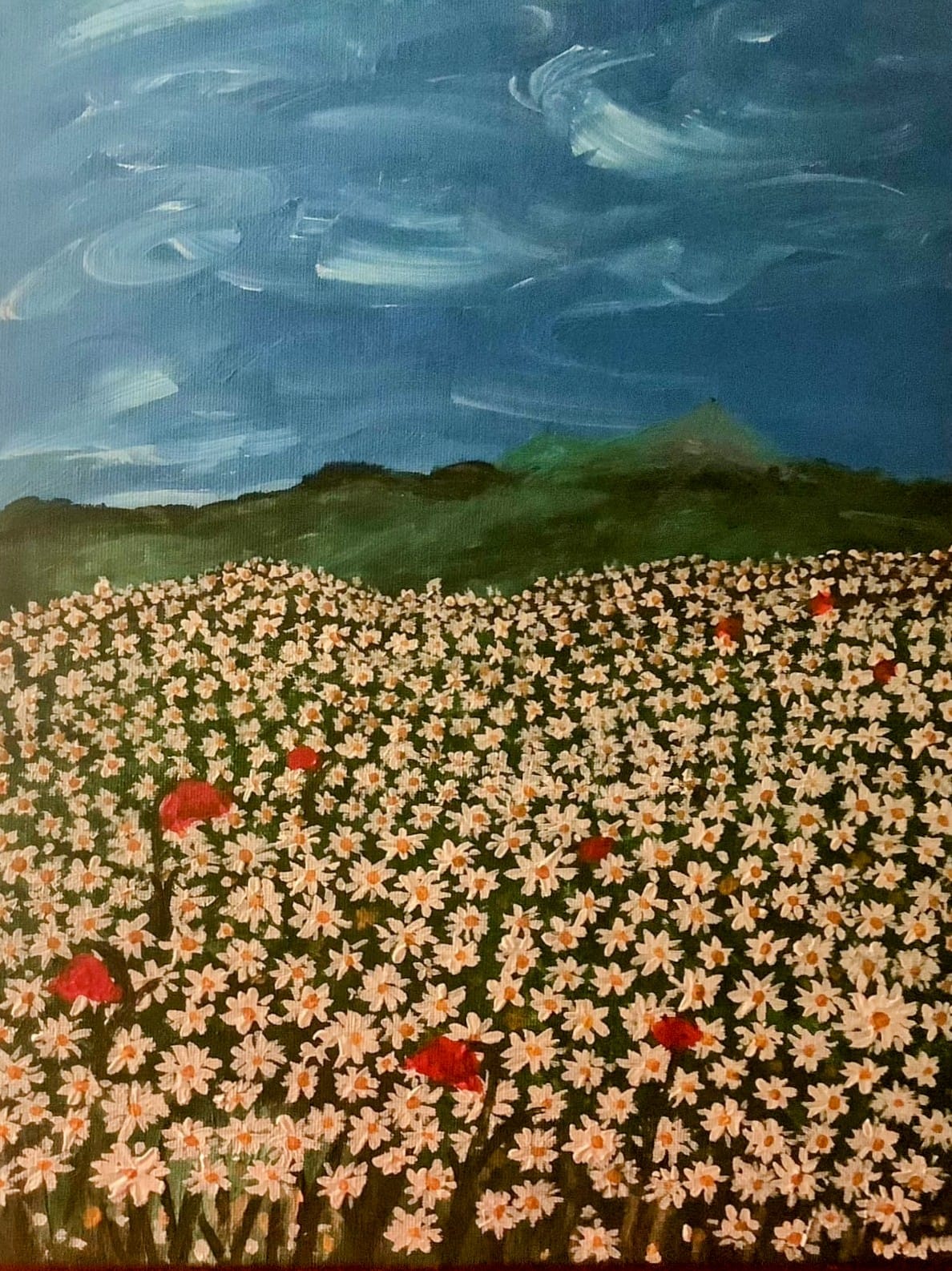 Maija Ikonen, Päivänkakkarapelto, 2026, akryylivärit, 39x29, lähtöhinta 100 €